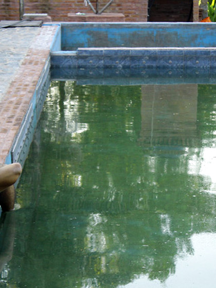 Hot-assed Fox enjoying outdoor anal